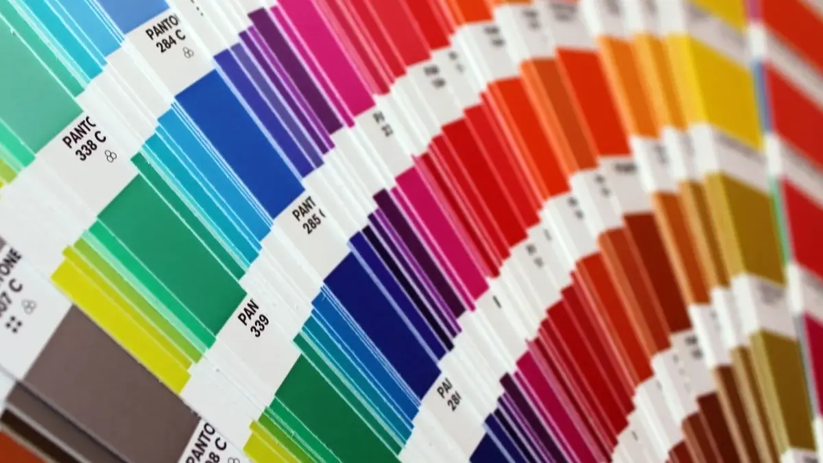 The Importance of Color in a Successful Brand Identity