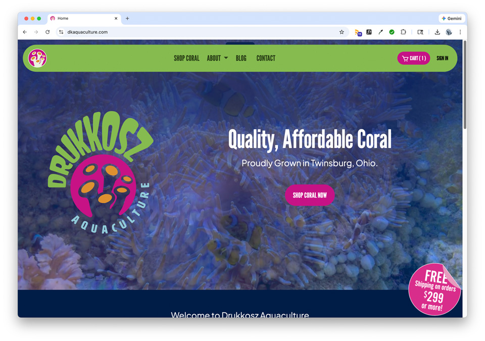 
							A photo image from this portfolio entry