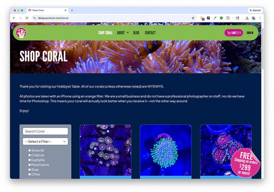 
							A photo image from this portfolio entry