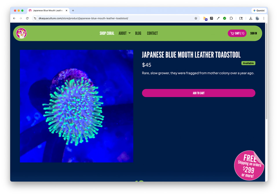 
							A photo image from this portfolio entry